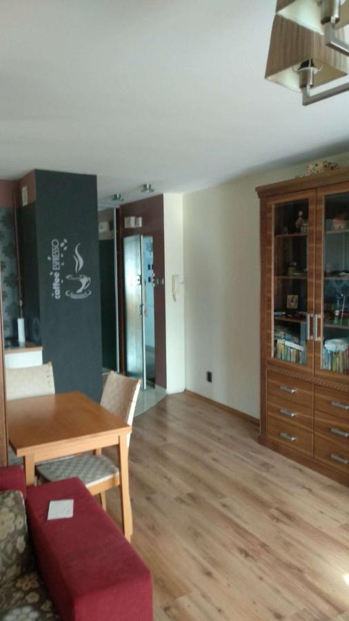 Lesny Apartament Білосток Екстер'єр фото
